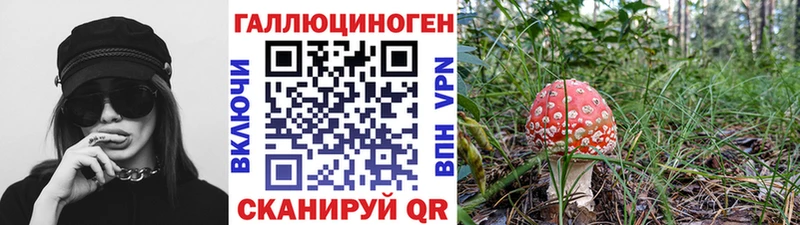 Галлюциногенные грибы мухоморы Черепаново